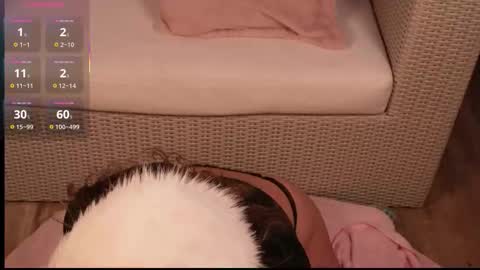 Kore online show from November 21, 8:00 pm