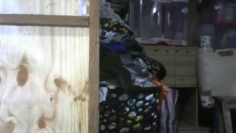 krishasweet online show from December 11, 3:58 pm