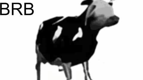 just call me Lana  online show from February 6, 8:07 am