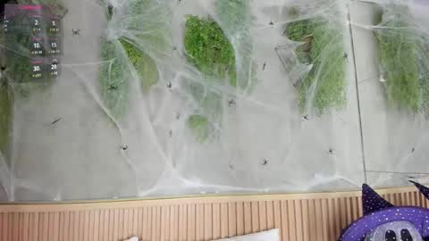 lana_lann online show from October 27, 11:50 am