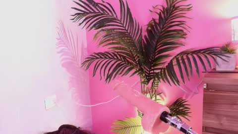 LANA online show from November 24, 4:25 am