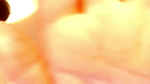 LEA online show from February 17, 7:47 am