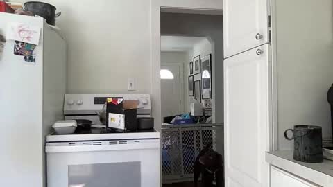 legallybrun91 online show from March 1, 6:29 pm