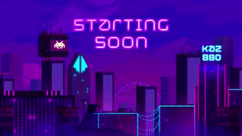 Leila online show from November 14, 1:00 pm