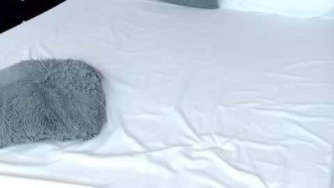 LUCY online show from February 19, 11:04 pm