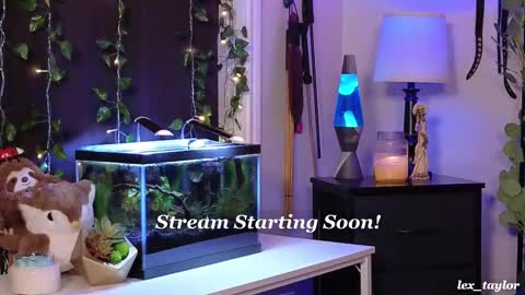 Snapshot of lex_taylor chatting on February 21, 4:59 pm Lex online show from February 21, 4:59 pm