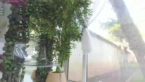 lexi_storm online show from April 15, 7:42 am