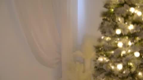 Rebecca online show from December 17, 6:01 pm