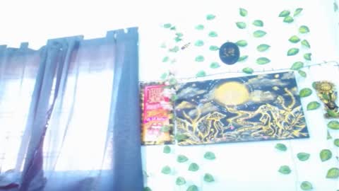 Snapshot of liliandoll chatting on February 19, 4:11 pm yesica online show from February 19, 4:11 pm