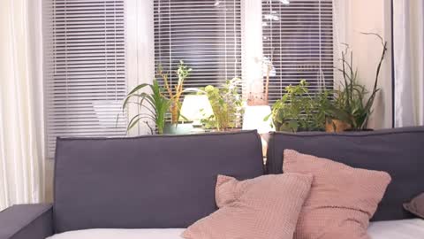 Snapshot of lilyminx chatting on March 6, 12:41 pm -- My Wishlist  online show from March 6, 12:41 pm