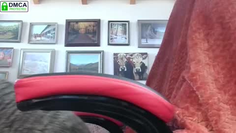 Miss D   Shows Mon Wed  Fri online show from February 13, 5:22 pm