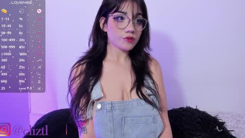 Snapshot of lizcastl chatting on December 3, 9:34 pm lizcastl online show from December 3, 9:34 pm