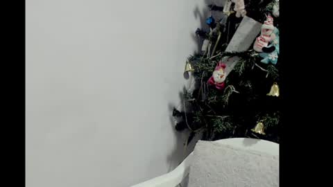 lizz1305 online show from December 26, 3:20 pm