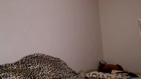 lovelyliliahxx online show from March 7, 8:54 am