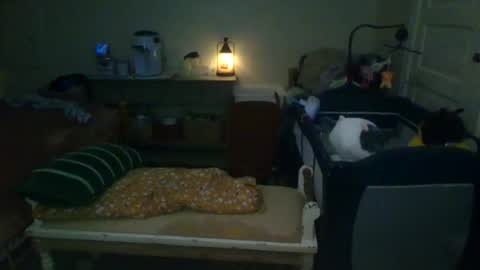 Snapshot of lovetubes101 chatting on October 2, 1:43 am lovetubes101 online show from October 2, 1:43 am