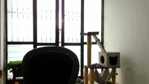 luara__01__lecat_1 online show from November 27, 4:21 pm