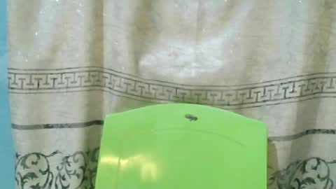 Gloria online show from June 26, 1:18 am