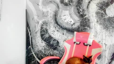 Snapshot of madam_sativa chatting on October 3, 6:35 pm di online show from October 3, 6:35 pm