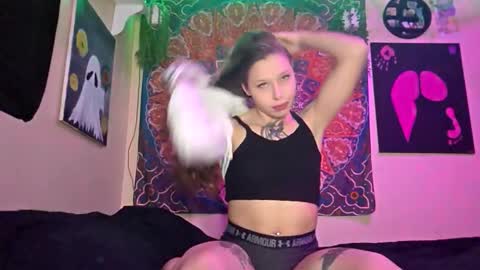 maevedotexe online show from November 16, 2:24 am