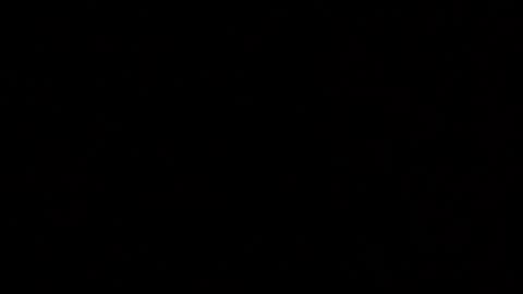 Elle online show from October 25, 3:08 pm