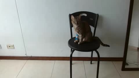 Mariam Calad online show from December 30, 2:51 pm