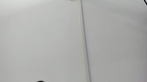 Stefany  online show from December 1, 8:11 pm