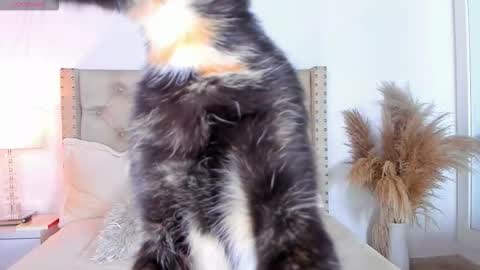 marilynrossy online show from November 7, 5:02 am