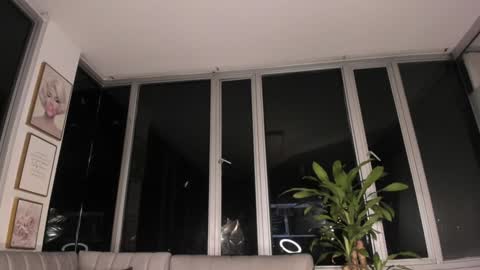 Mara online show from January 31, 10:42 am