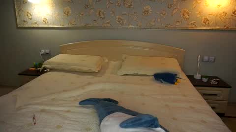 Alberta   First stream 02252025 1230 UTC online show from February 24, 9:30 am