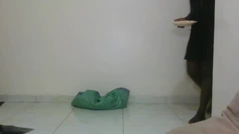 melanie_bae1 online show from July 18, 12:36 am