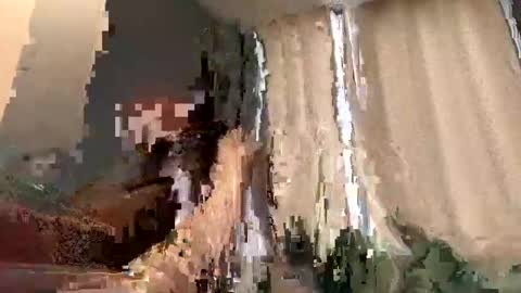 LEVA online show from November 24, 7:10 am