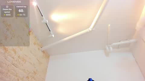 Miaa  online show from November 19, 1:00 pm