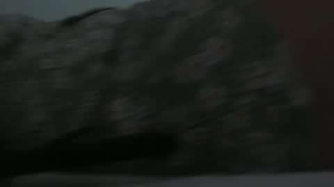 MiaSP online show from December 28, 6:40 pm