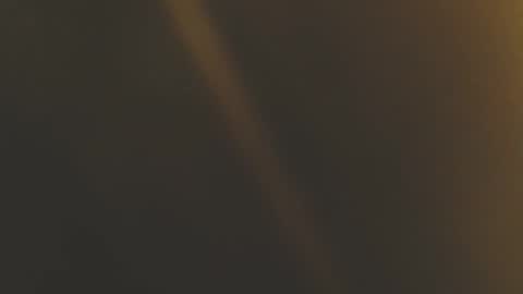 Misha online show from October 7, 11:47 am