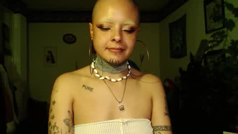 Anarkitten  online show from December 19, 12:15 am