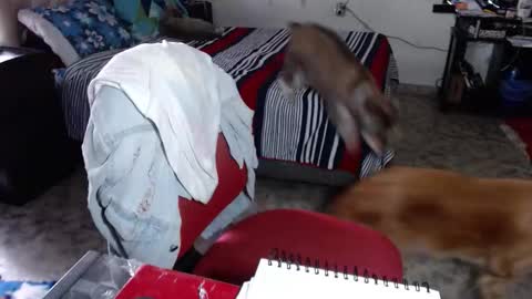 Maria Gomezz online show from February 2, 5:34 pm