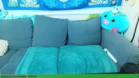 Elizabxth Fields online show from November 19, 5:40 am