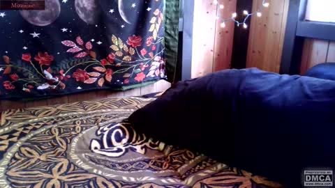 Snapshot of mizziijaie chatting on October 23, 1:44 am mizziijaie online show from October 23, 1:44 am