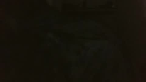 Angel  online show from February 11, 11:42 am