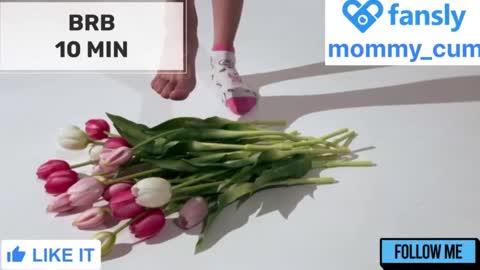 Mommy online show from February 17, 2:09 am