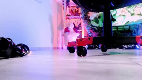 Monika online show from October 8, 1:04 pm