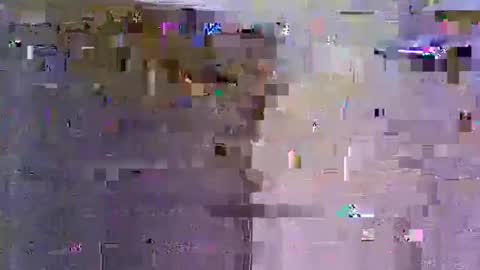 Birddie online show from May 21, 9:40 am