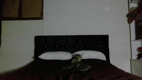 Nahomy online show from April 1, 2:23 am