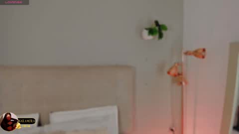 INSTAGRAM  m2221     online show from March 20, 10:31 am