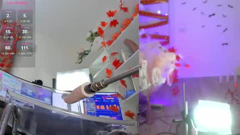 INSTAGRAM     bekkercat  online show from November 6, 12:22 pm