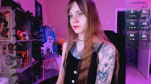 Monday-Friday 12-4 AM and 6-9 AM New York time online show from February 26, 8:24 pm