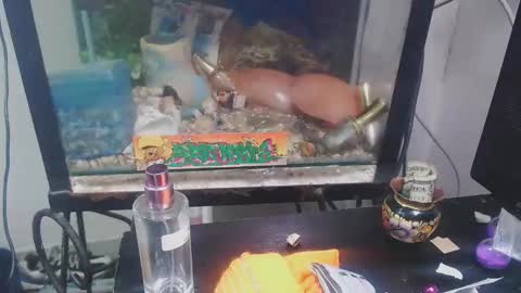 Vivian online show from November 22, 11:29 pm