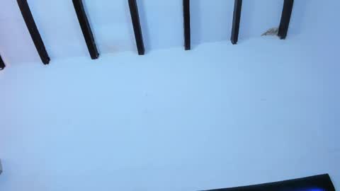 NatashaDiamond online show from April 30, 5:40 pm