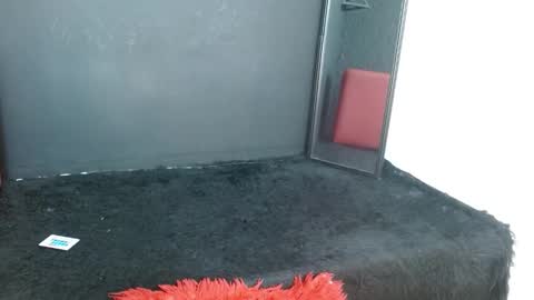   online show from November 30, 12:42 pm