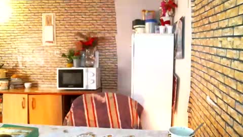 elena-andrei online show from March 4, 8:21 am